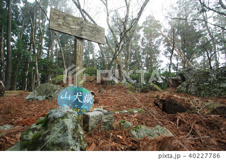 山犬嶽山頂 40227786
