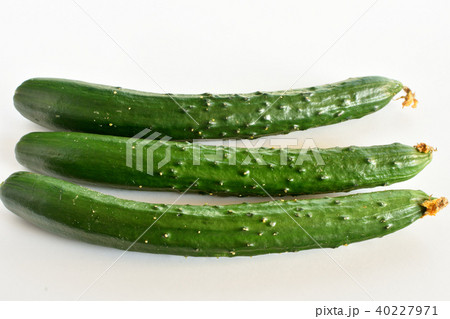 花つきキュウリ 40227971