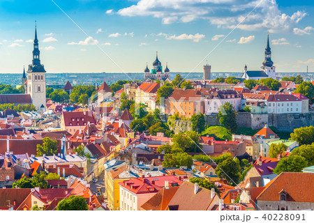 Tallinn, Estonia Historic Skyline Tallinn, Estonia Historic Skyline 40228091