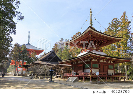 和歌山県・高野山・金剛峯寺・壇上伽藍・東塔 40228706