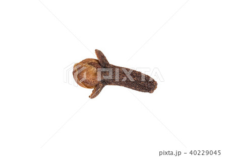 Dried clove isolated on white 40229045