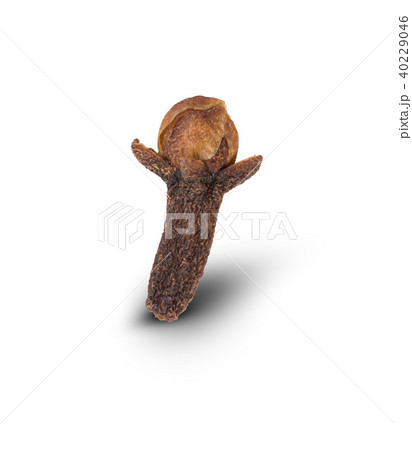 Dried clove isolated on white 40229046