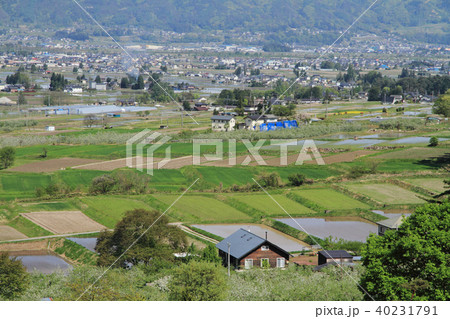 安曇野の春 田植えのころ 安曇野の春 田植えのころ 40231791