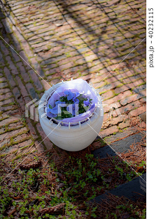 富良野アトリエ麓郷の早春 40232115