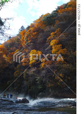 【紅葉最盛期】吹割渓谷・鱒飛の滝の紅葉 【紅葉最盛期】吹割渓谷・鱒飛の滝の紅葉 40232711