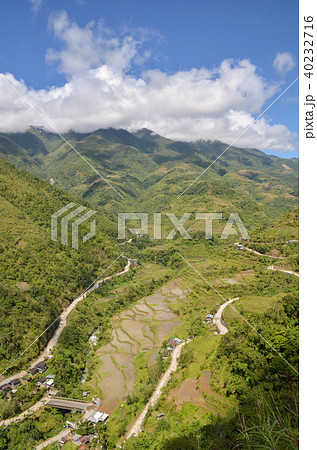 ハパオライステラス ハパオライステラス 40232716