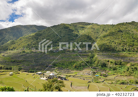 ハパオライステラス ハパオライステラス 40232723