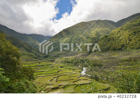 ハパオライステラス 40232728