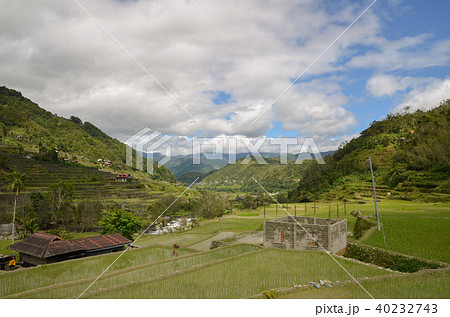 ハパオライステラス 40232743