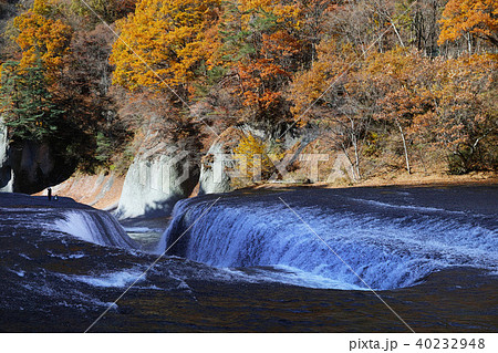 【紅葉最盛期】吹割の滝・吹割渓谷の紅葉(午前) 【紅葉最盛期】吹割の滝・吹割渓谷の紅葉(午前) 40232948