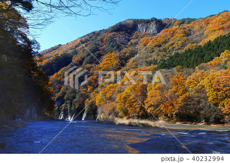 【紅葉最盛期】吹割の滝・吹割渓谷の紅葉(午前) 【紅葉最盛期】吹割の滝・吹割渓谷の紅葉(午前) 40232994
