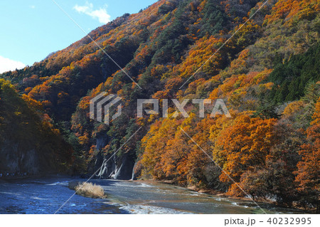 【紅葉最盛期】吹割の滝・吹割渓谷の紅葉(午前) 【紅葉最盛期】吹割の滝・吹割渓谷の紅葉(午前) 40232995