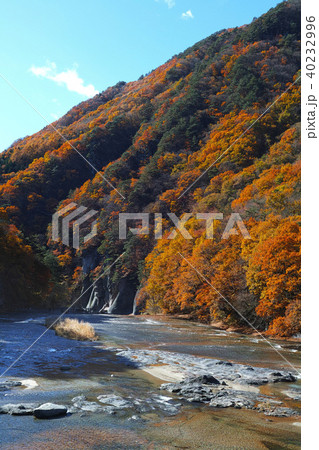 【紅葉最盛期】吹割の滝・吹割渓谷の紅葉(午前) 【紅葉最盛期】吹割の滝・吹割渓谷の紅葉(午前) 40232996