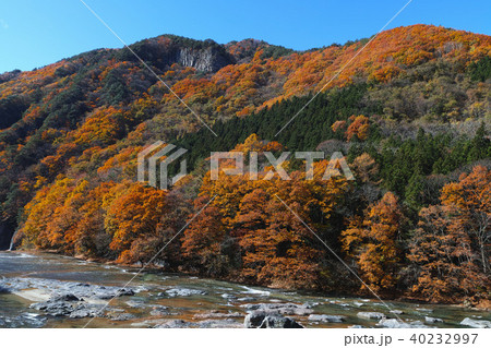 【紅葉最盛期】吹割の滝・吹割渓谷の紅葉（午前） 40232997