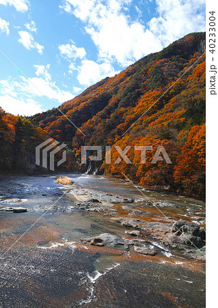 【紅葉最盛期】吹割の滝・吹割渓谷の紅葉(午前) 【紅葉最盛期】吹割の滝・吹割渓谷の紅葉(午前) 40233004