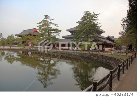 東大寺大仏殿 鏡池 東大寺大仏殿 鏡池 40233174