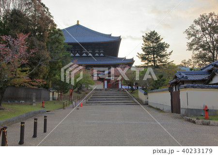 東大寺大仏殿 東大寺大仏殿 40233179