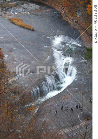 【紅葉最盛期】吹割の滝・吹割渓谷の紅葉（観瀑台より） 40233308