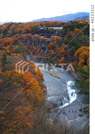 【紅葉最盛期】吹割の滝・吹割渓谷の紅葉（観瀑台より） 40233312