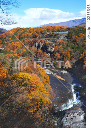 【紅葉最盛期】吹割の滝・吹割渓谷の紅葉（観瀑台より） 40233348