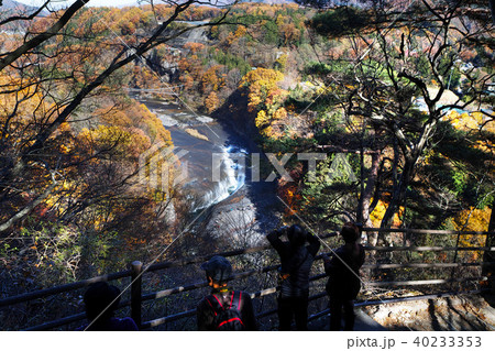 【紅葉最盛期】吹割の滝・吹割渓谷の紅葉を楽しむ観光客(観瀑台より) 【紅葉最盛期】吹割の滝・吹割渓谷の紅葉を楽しむ観光客(観瀑台より) 40233353