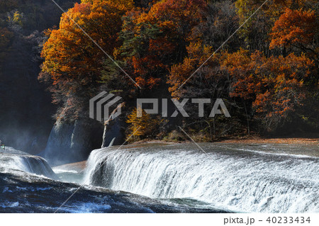 【紅葉最盛期】吹割の滝・吹割渓谷の紅葉(午後) 【紅葉最盛期】吹割の滝・吹割渓谷の紅葉(午後) 40233434