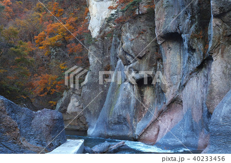 【紅葉最盛期】吹割の滝・吹割渓谷の紅葉 般若岩 40233456