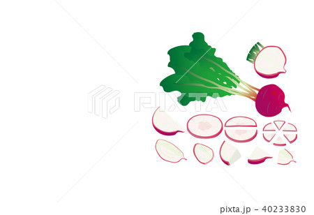 カット野菜あかかぶ 40233830