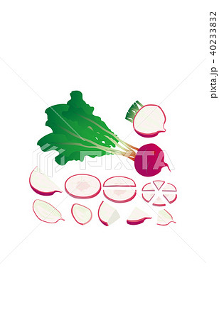 カット野菜あかかぶ 40233832