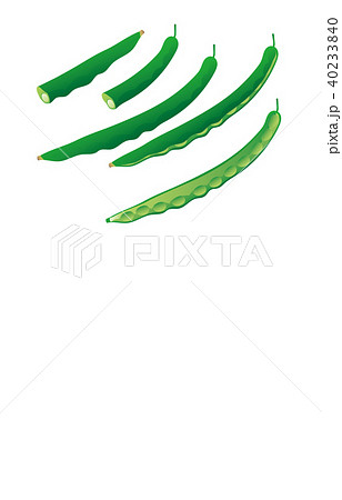 カット野菜いんげんまめ 40233840