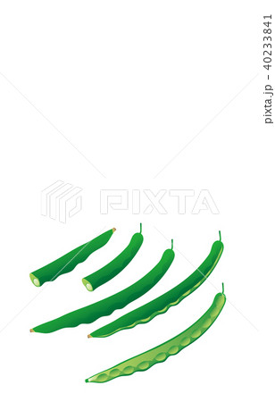 カット野菜いんげんまめ 40233841