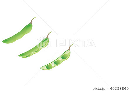 カット野菜えだまめ 40233849