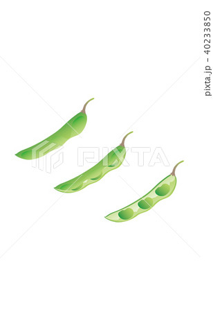 カット野菜えだまめ 40233850