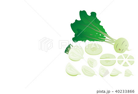 カット野菜かぶ カット野菜かぶ 40233866