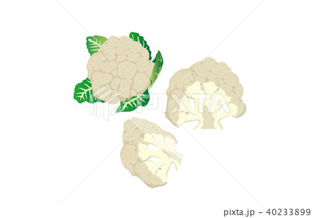 カット野菜カリフラワー 40233899