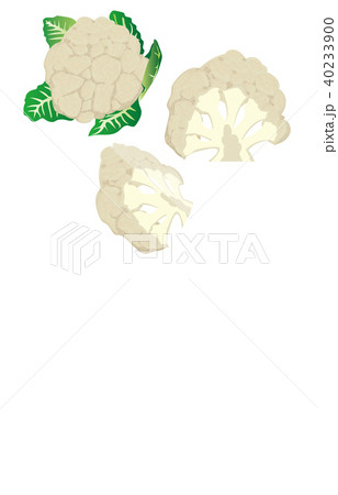 カット野菜カリフラワー カット野菜カリフラワー 40233900