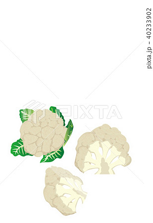 カット野菜カリフラワー カット野菜カリフラワー 40233902