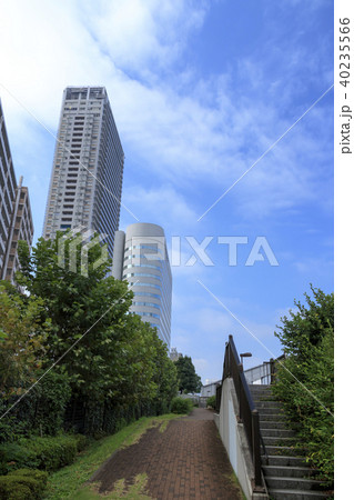 都市風景(東京都、隅田川、秋) 都市風景(東京都、隅田川、秋) 40235566