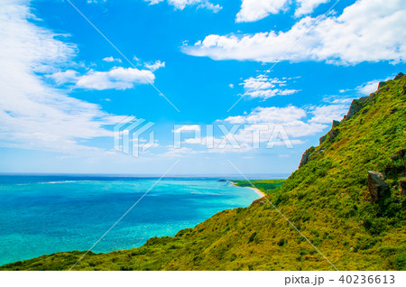 平久保崎 平久保崎 40236613