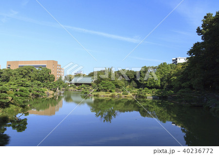 庭園風景（東京都、清澄庭園、秋） 40236772