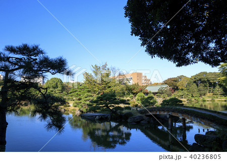 庭園風景(東京都、清澄庭園、秋) 庭園風景(東京都、清澄庭園、秋) 40236805