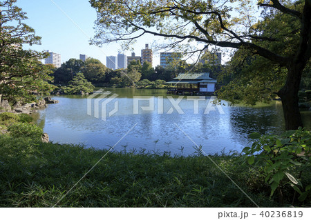 庭園風景（東京都、清澄庭園、秋） 40236819