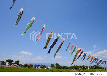 赤城山と鯉のぼり 40237279