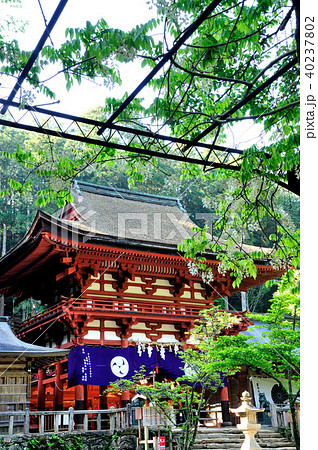 丹生都比売神社の楼門と藤の花 丹生都比売神社の楼門と藤の花 40237802