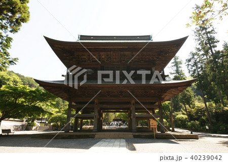 鎌倉　円覚寺　Kamakura  Engakuji-temple 40239042