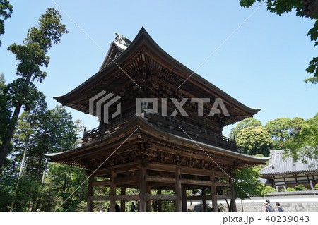 鎌倉　円覚寺　Kamakura  Engakuji-temple 40239043