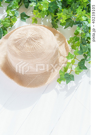 ライフスタイル 夏 洗いざらし 帽子 40239105