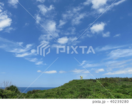 遠くから見たフナウサギバナタの展望台(伊良部島) 遠くから見たフナウサギバナタの展望台(伊良部島) 40239280