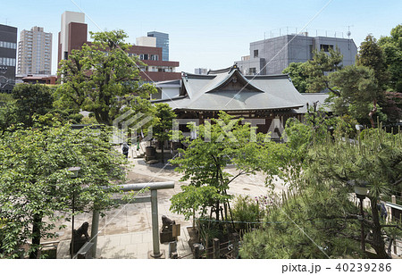 富士塚から見える鳩森八幡神社の拝殿(東京都渋谷区) 富士塚から見える鳩森八幡神社の拝殿(東京都渋谷区) 40239286