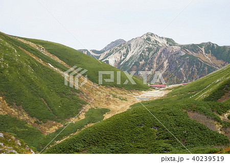 鷲羽岳 40239519